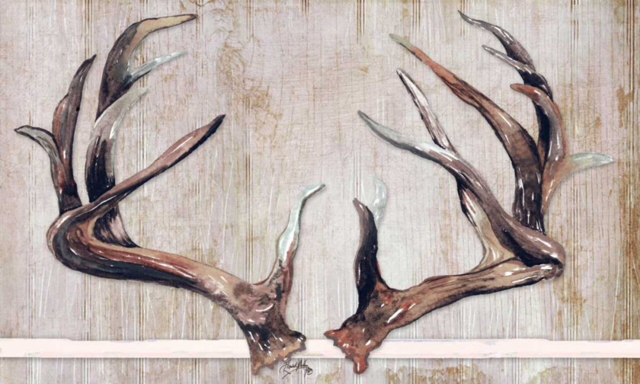 Trophy Antlers Poster Print by Elizabeth Medley (36 x 24) # 11852AA